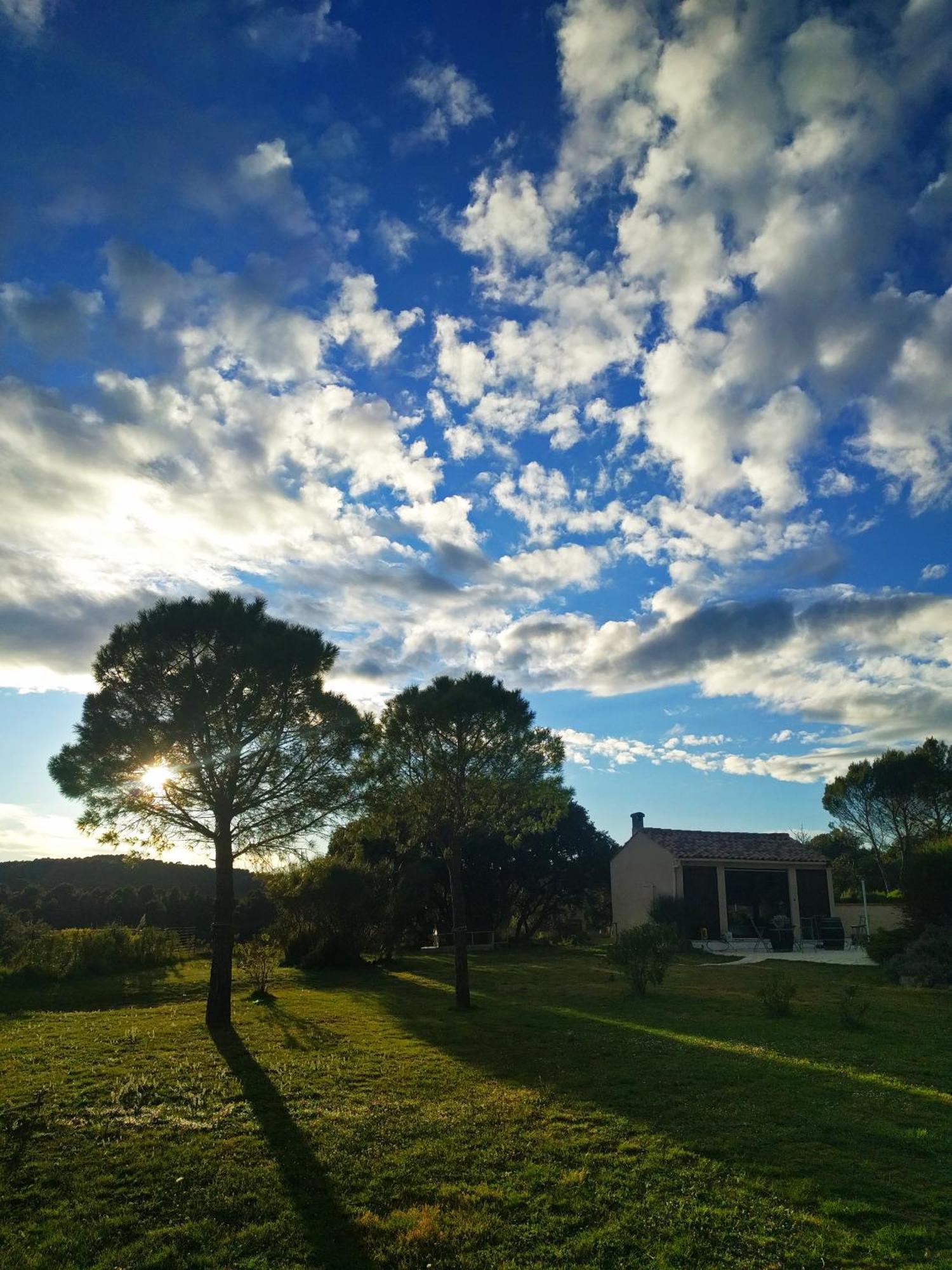 Laure-Minervois Domaine De Palatsゲストハウス 部屋 写真