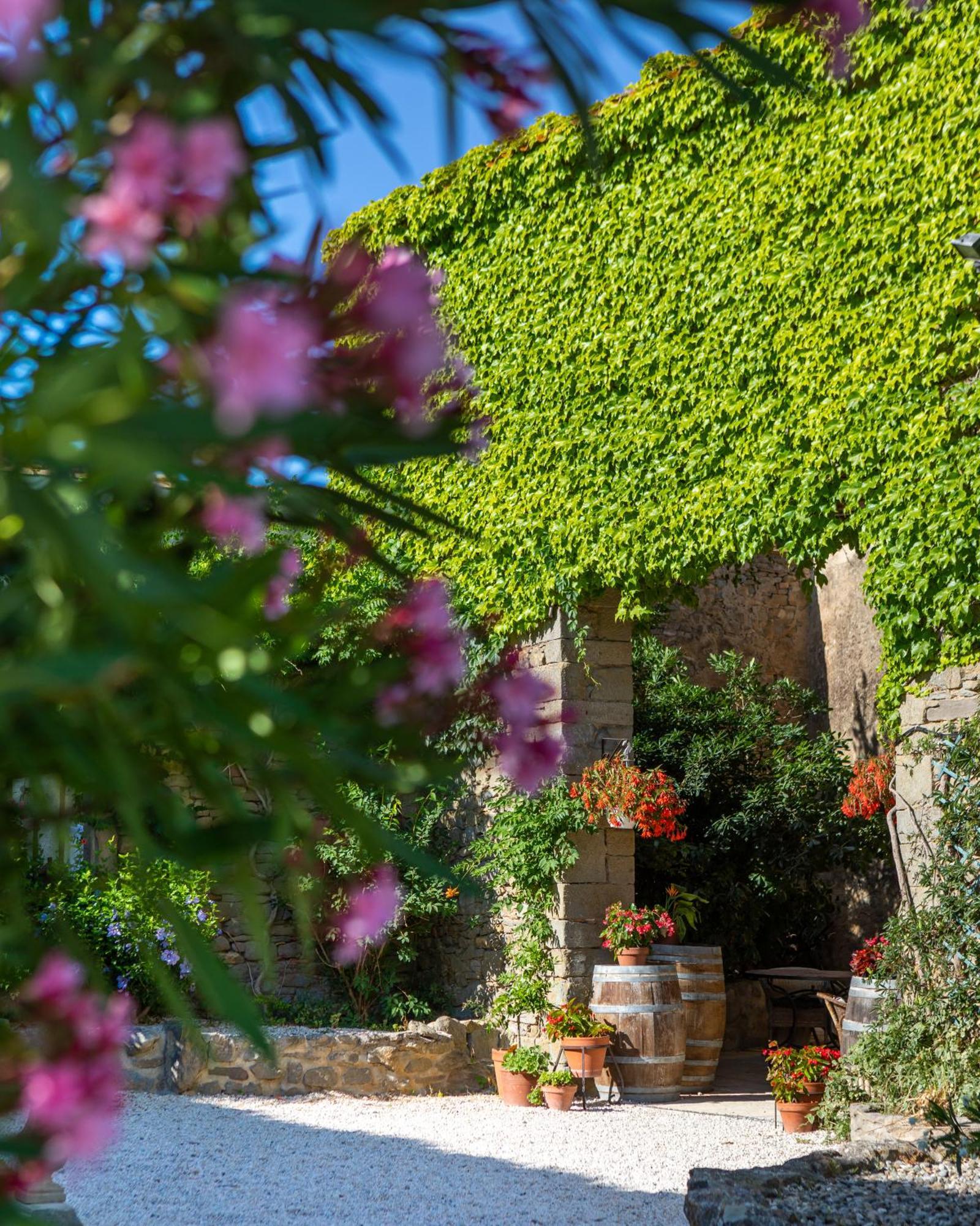 Laure-Minervois Domaine De Palatsゲストハウス エクステリア 写真