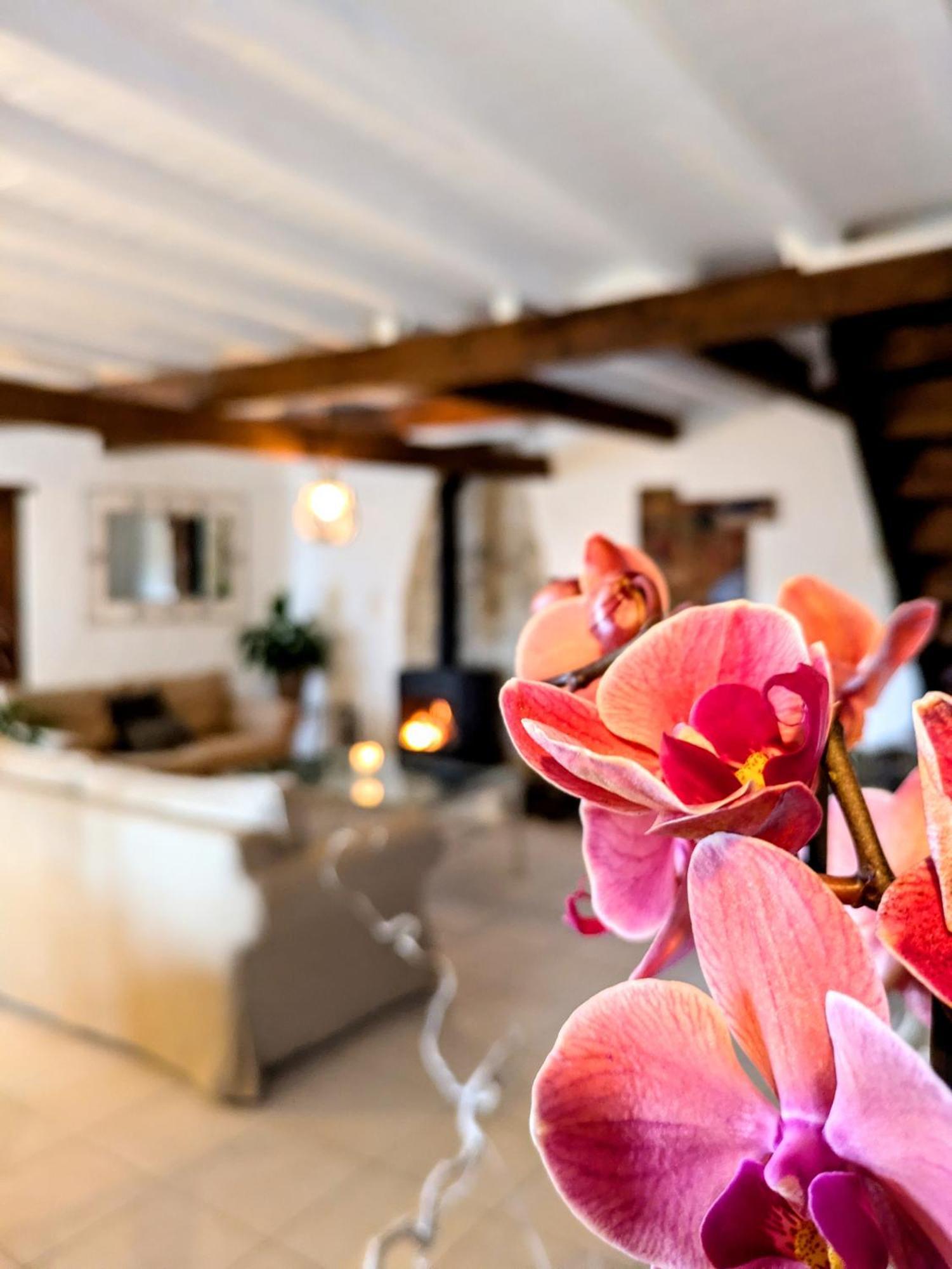 Laure-Minervois Domaine De Palatsゲストハウス 部屋 写真