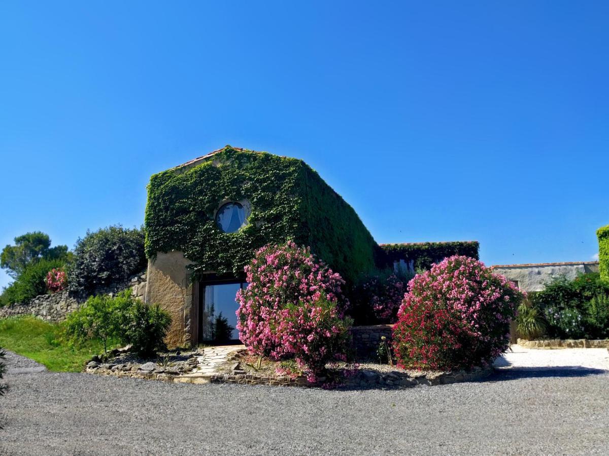 Laure-Minervois Domaine De Palatsゲストハウス エクステリア 写真