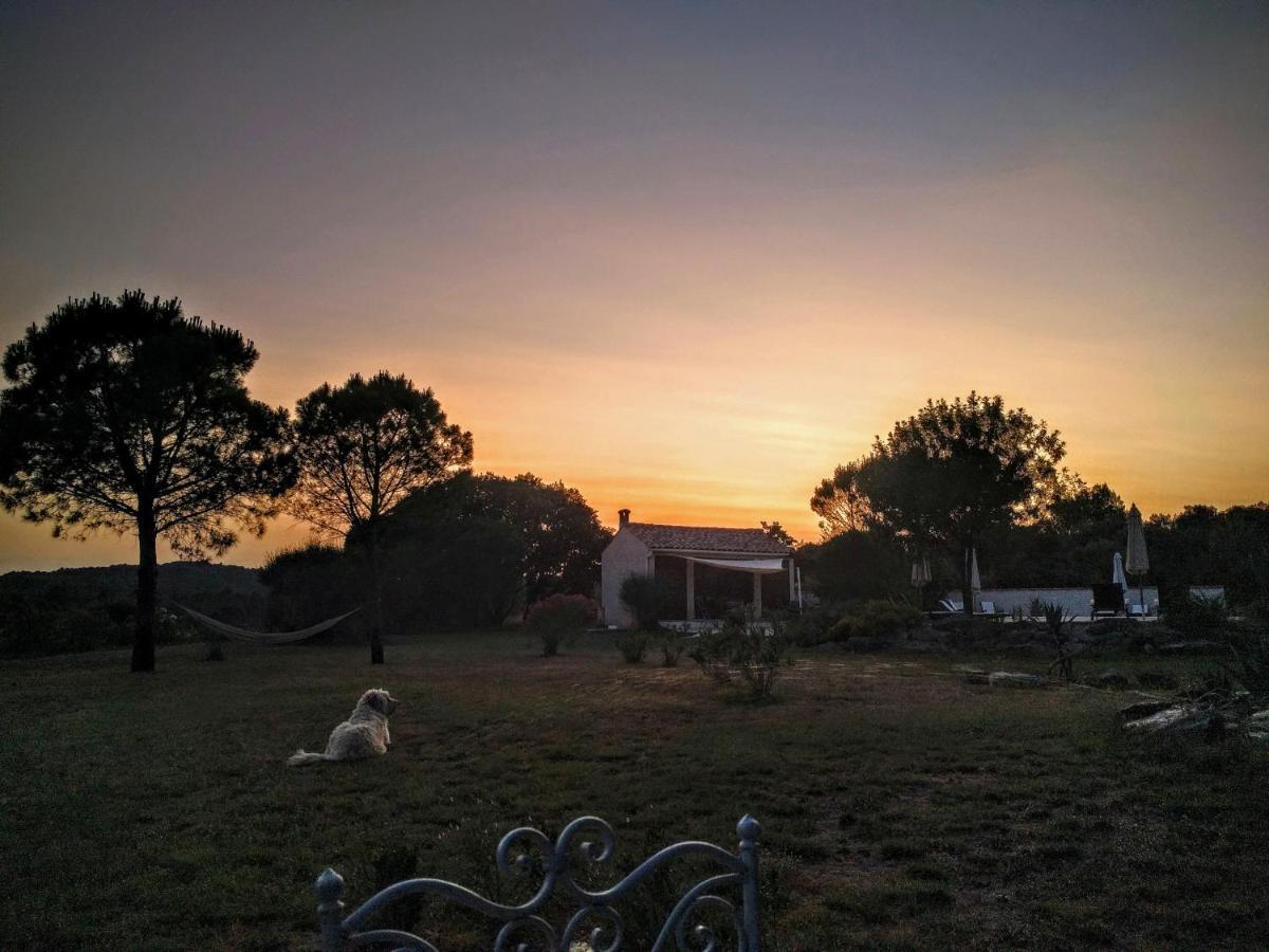 Laure-Minervois Domaine De Palatsゲストハウス エクステリア 写真