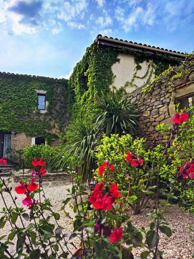 Laure-Minervois Domaine De Palatsゲストハウス エクステリア 写真