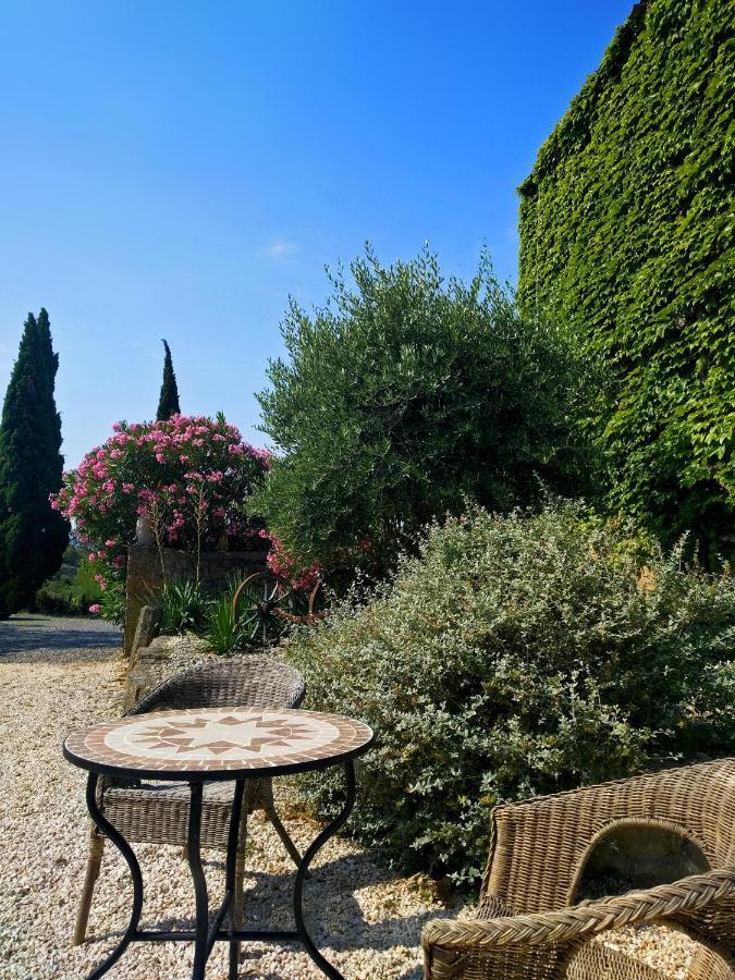 Laure-Minervois Domaine De Palatsゲストハウス エクステリア 写真