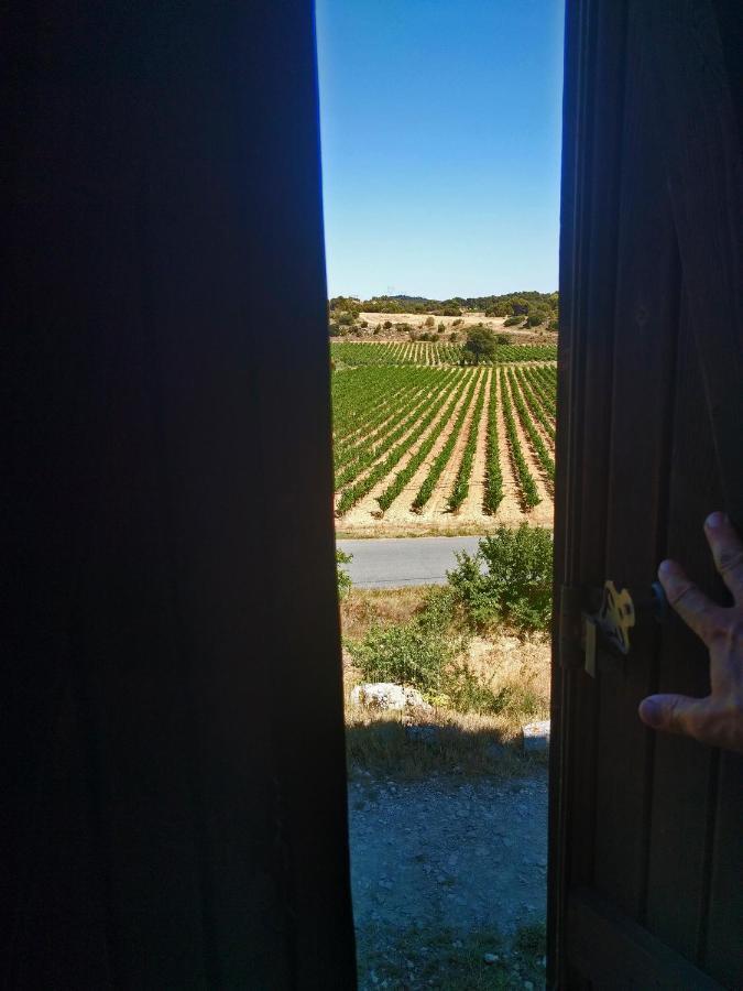 Laure-Minervois Domaine De Palatsゲストハウス エクステリア 写真