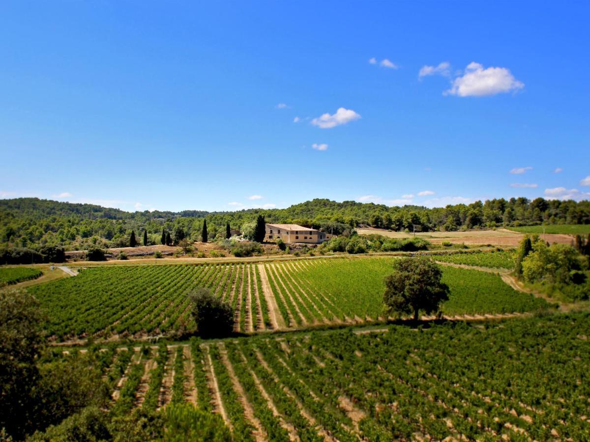 Laure-Minervois Domaine De Palatsゲストハウス エクステリア 写真